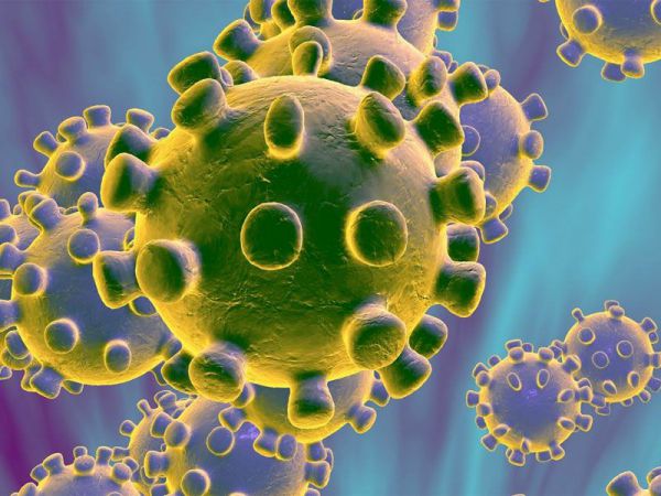 CORONAVIRUS guida in 8 punti