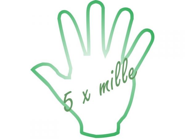 5 X Mille Amarec